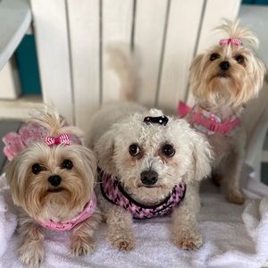 Meet your Posher, Deborah